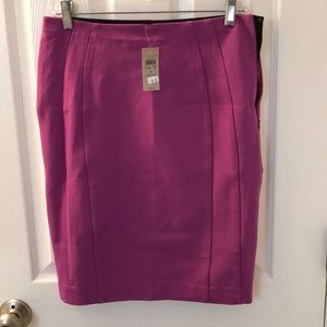 Ann Taylor Skirt